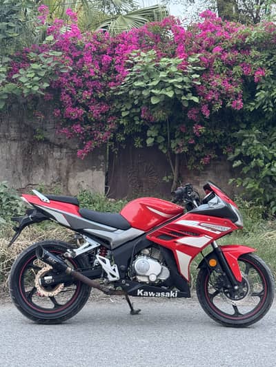 Super power leo 200 2024 model