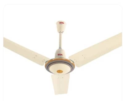 Royal Platinum Ceiling Fan