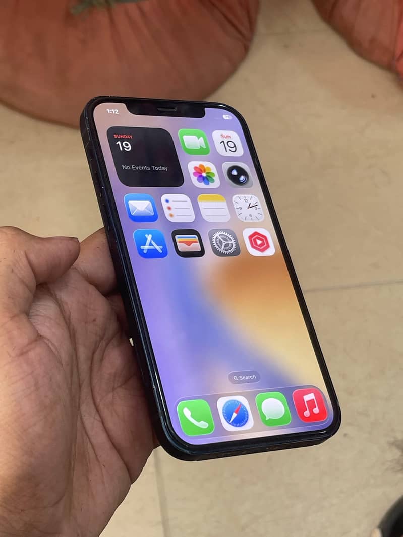 Apple iPhone 12 1