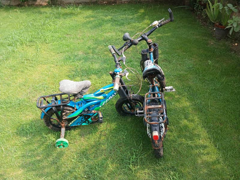 Two cycle 2