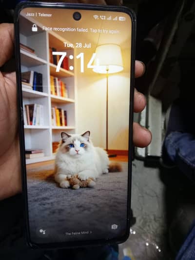 OPPO A60