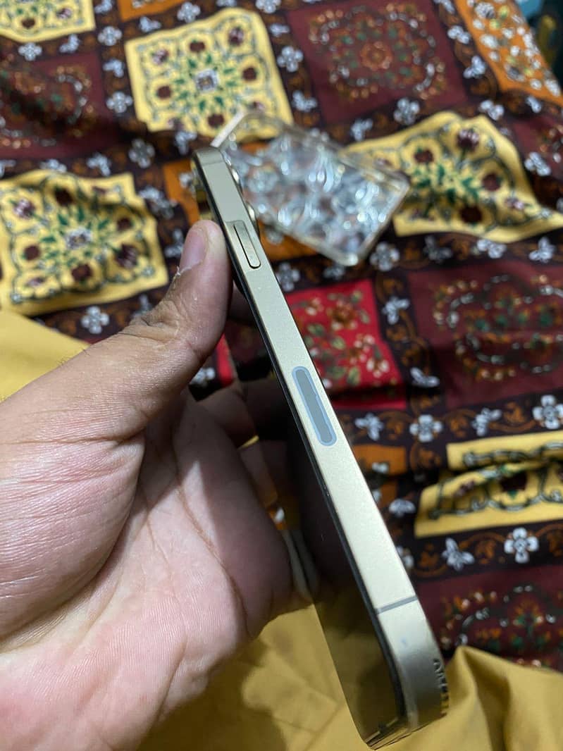 Apple iPhone 13 Pro Max 1