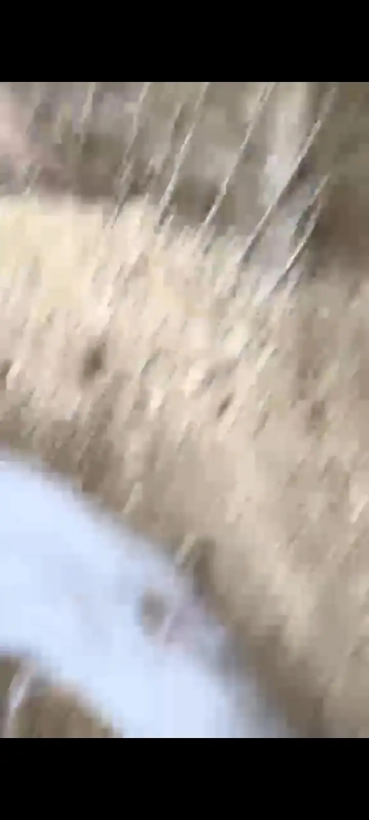 titer pier 3 bachio KY sat video 03452527462.03112225639 — photo 5
