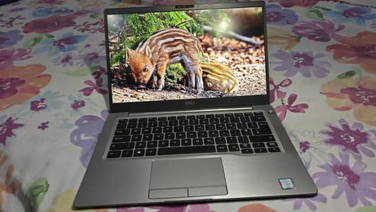 Dell Latitude 7300