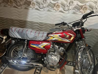 03206417435 whatsup Honda Fury 2025