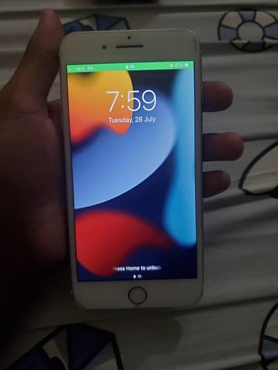 03247711607
