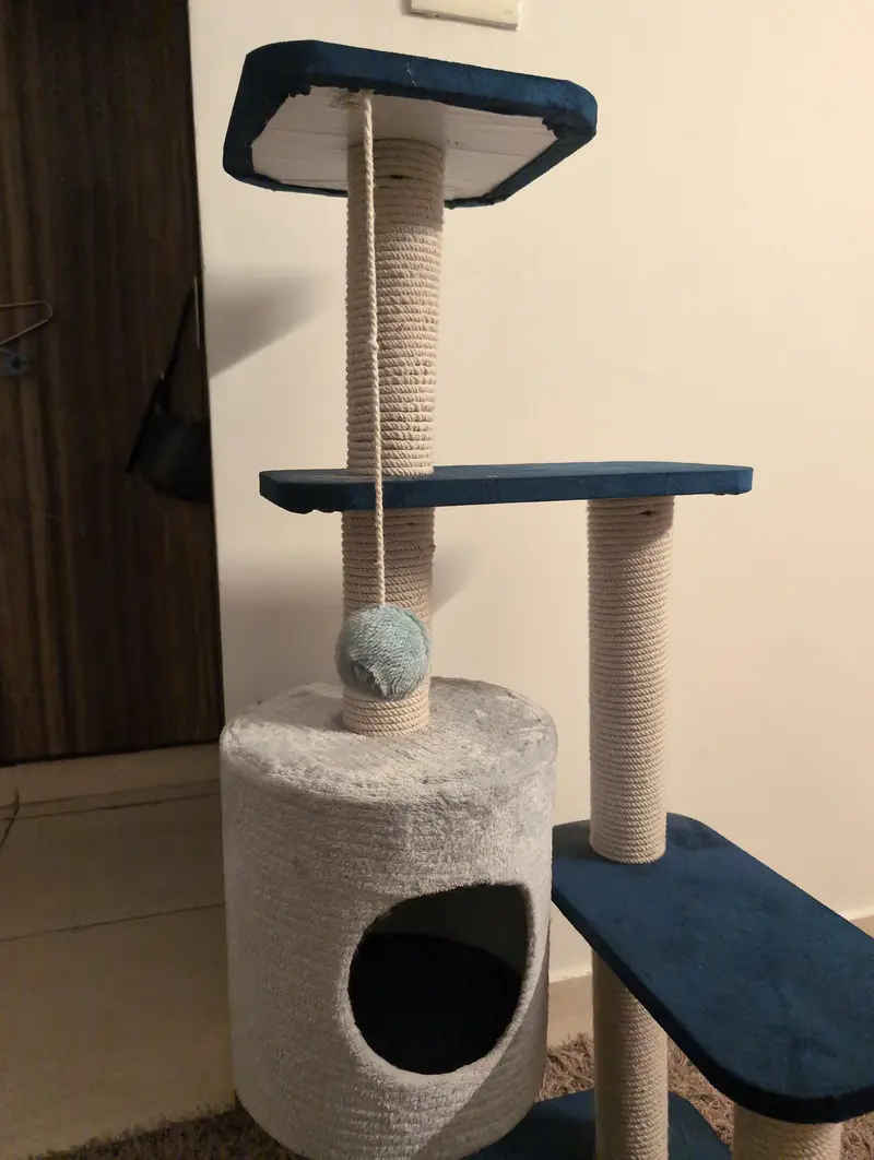 Cat Tree House / Cat Scratching Post with Tunnel – Good Condition — photo 3