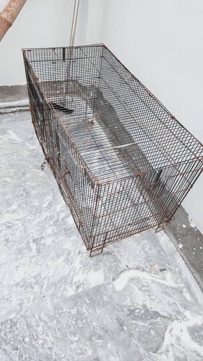 pinjra iron cage