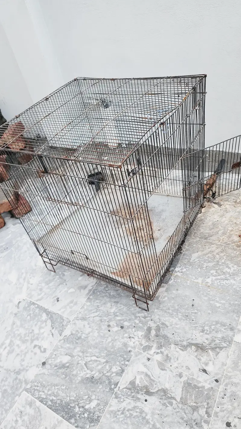pinjra iron cage — photo 2