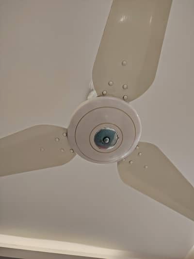 Ceiling Fan Millat