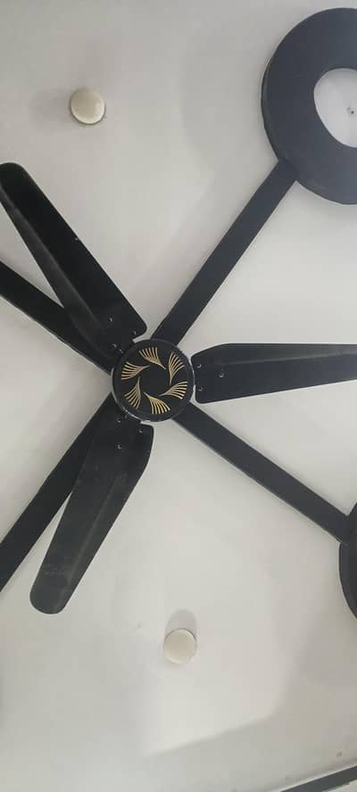bhi fan ha kaml k ha bs mjh sel krna ha