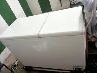 Haier d freazer