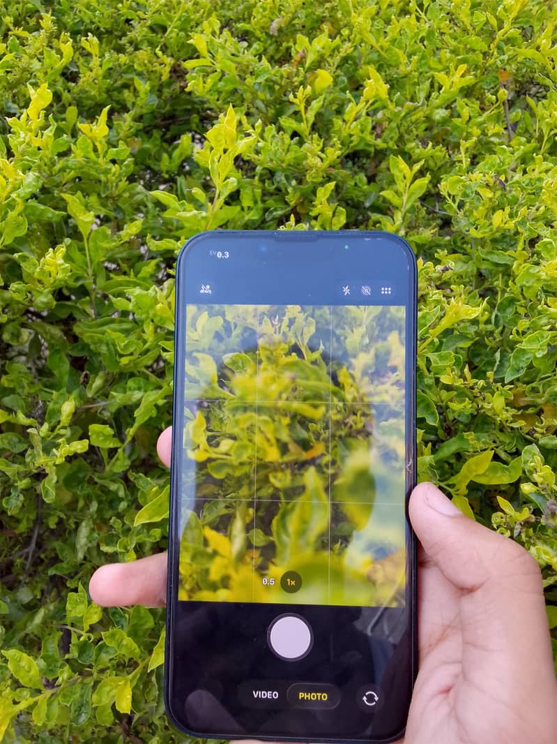 Iphone 13 jv 1