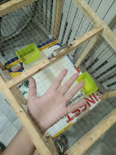 Hens Chick's Birds Cage For Sale Wooden Cage 2 Portion