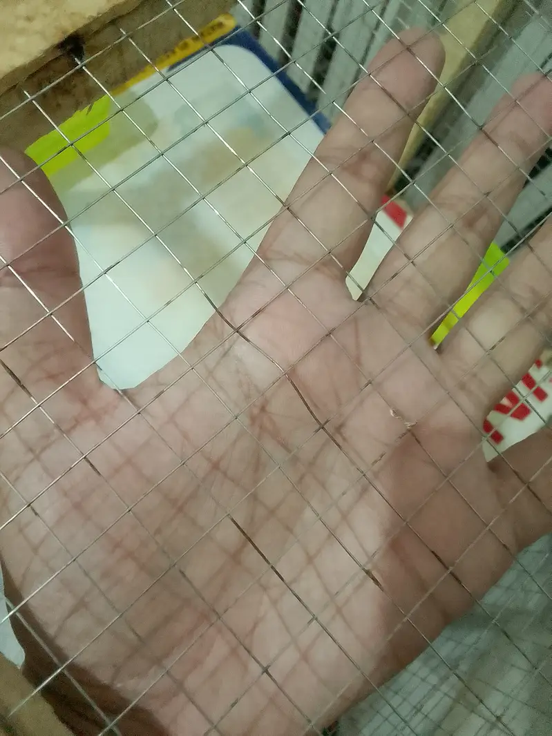 Hens Chick's Birds Cage For Sale Wooden Cage 2 Portion — photo 2