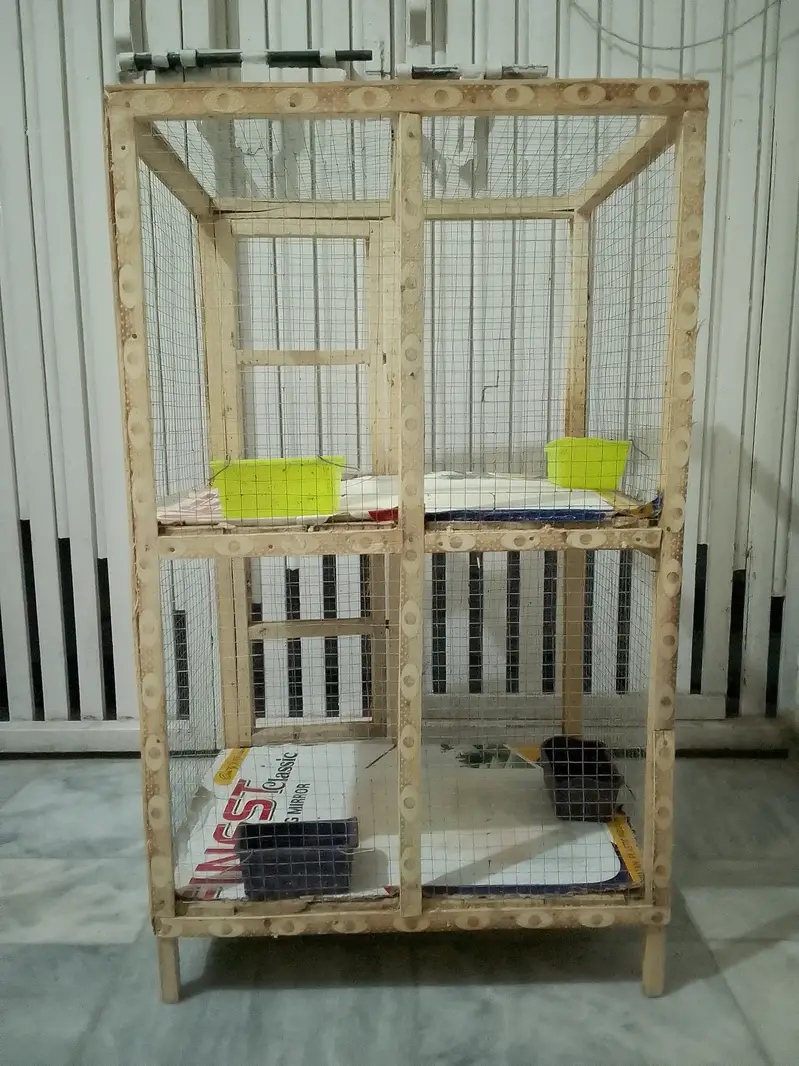 Hens Chick's Birds Cage For Sale Wooden Cage 2 Portion — photo 7