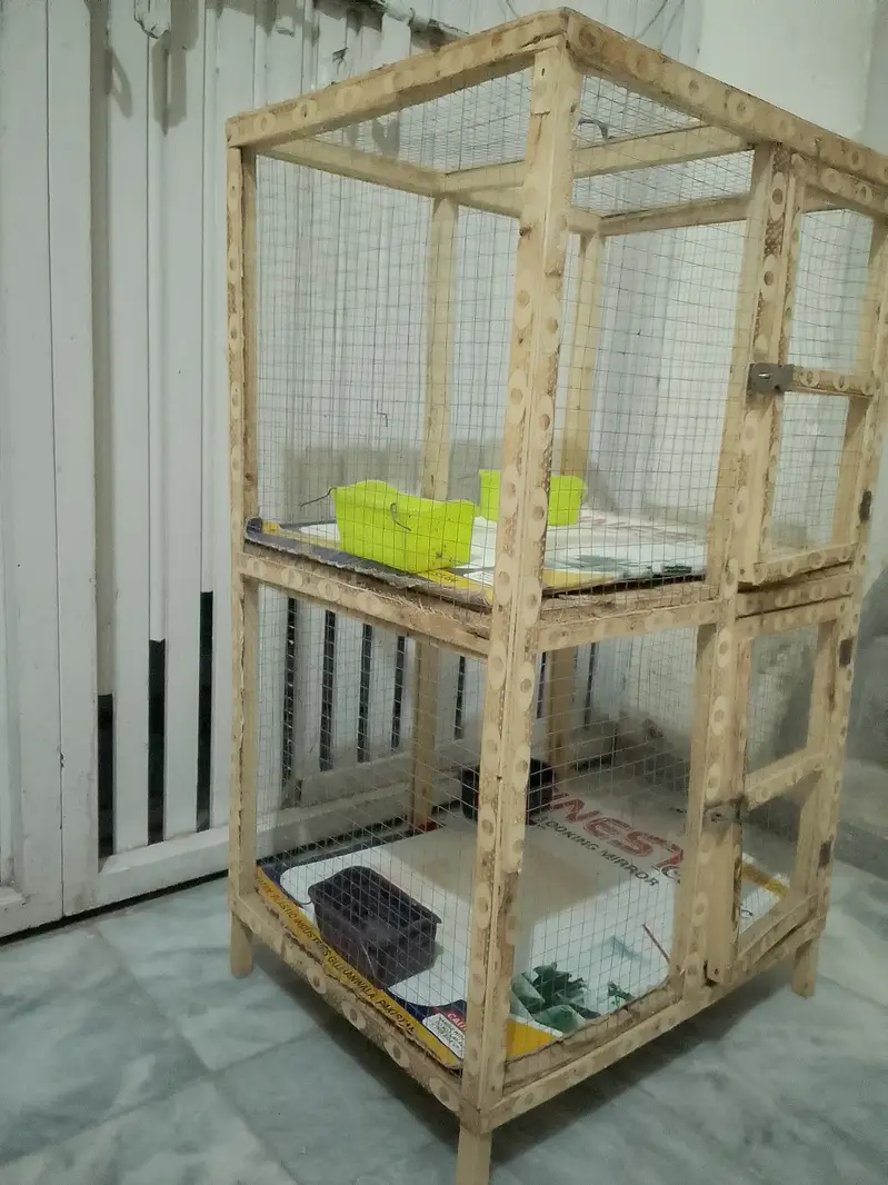 Hens Chick's Birds Cage For Sale Wooden Cage 2 Portion — photo 8
