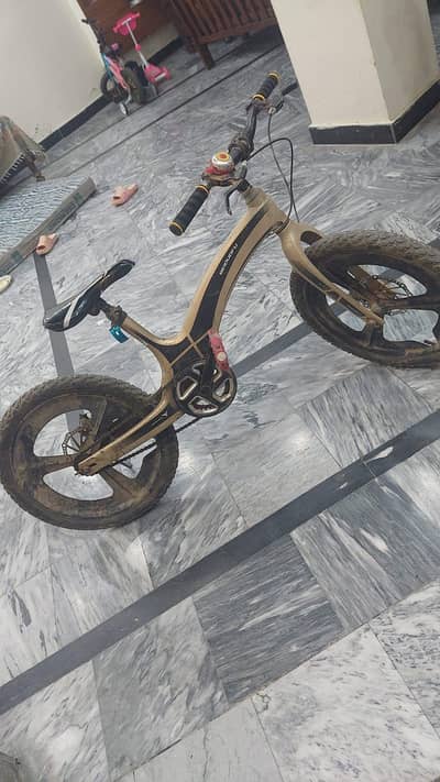 used cycle but in perfect condition