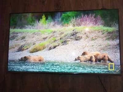 Haier smart LED TV