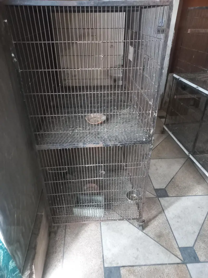 raw parrot breeding cage — photo 2