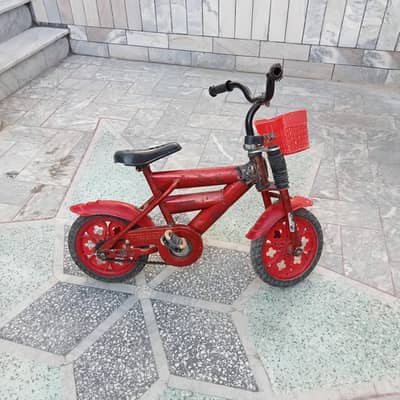 1 peace cycle