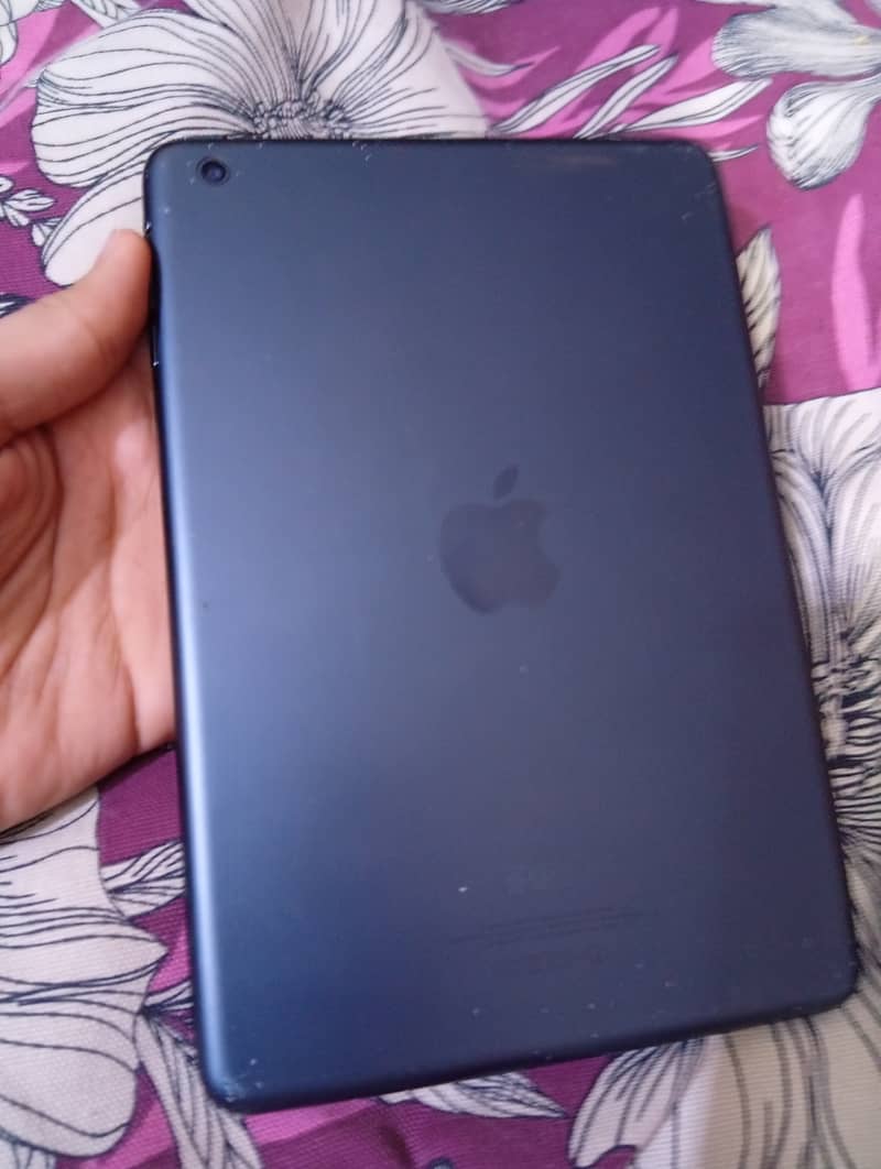 iPad mini 3 0