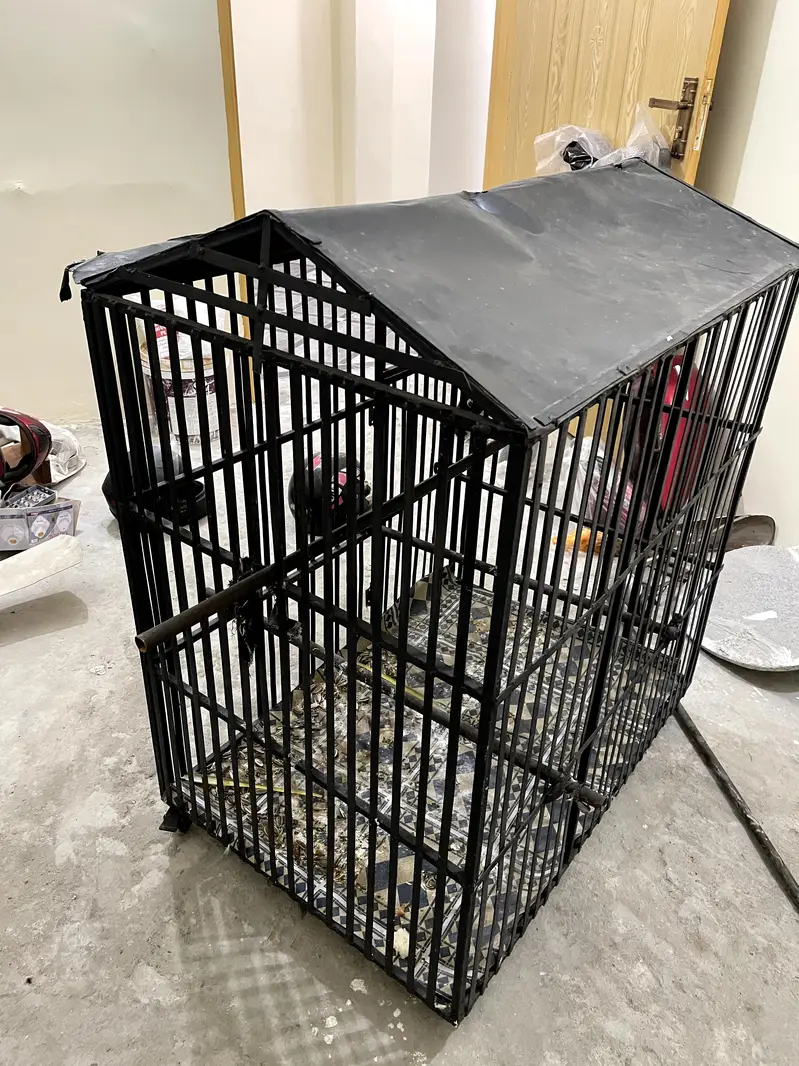 Big Cage For Cat Dog And Birds For Sale — photo 3
