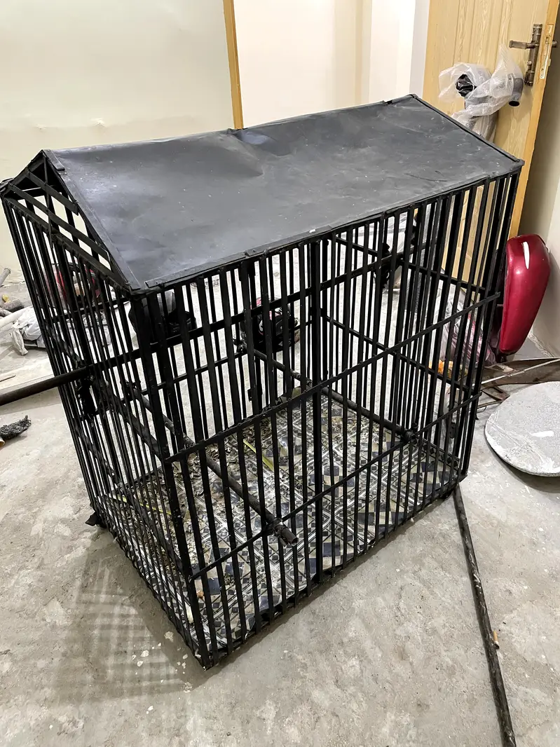 Big Cage For Cat Dog And Birds For Sale — photo 4