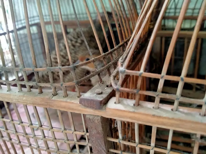 axha jora he — photo 2
