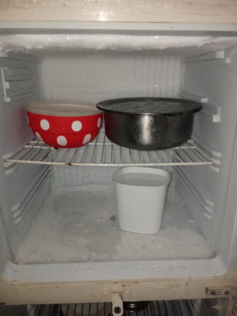 fridge 1