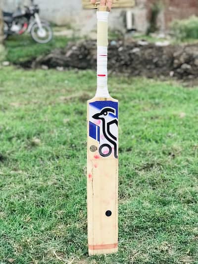 hard ball bat