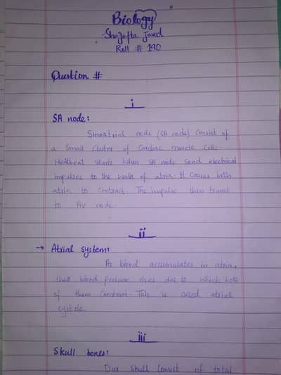 Assignment helper