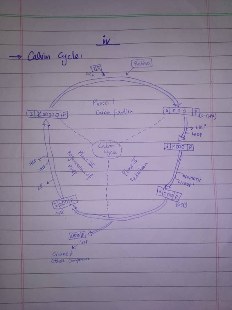 Assignment helper 1