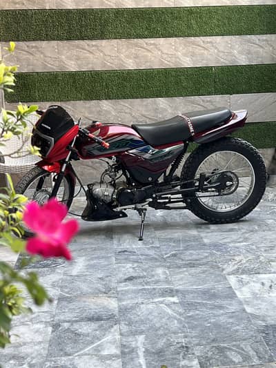 CD70 DREAM FULLY MODIFIED URGENT SALE