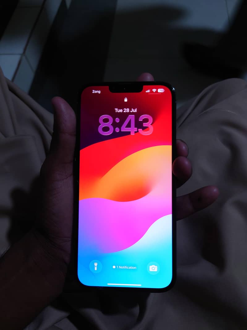 iphone 13 pro max 2