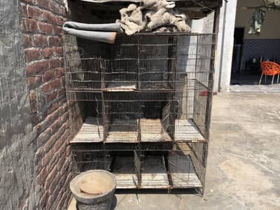 Cage 12 blocks
