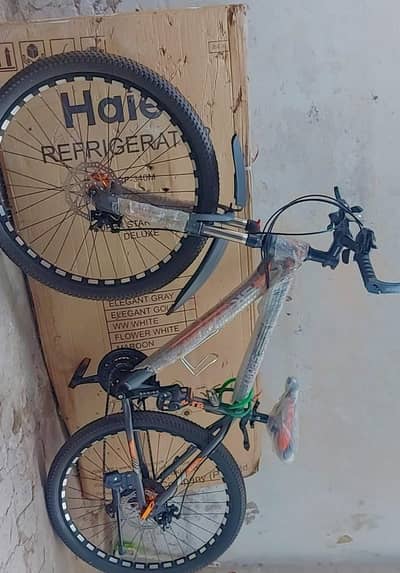 sport cycle