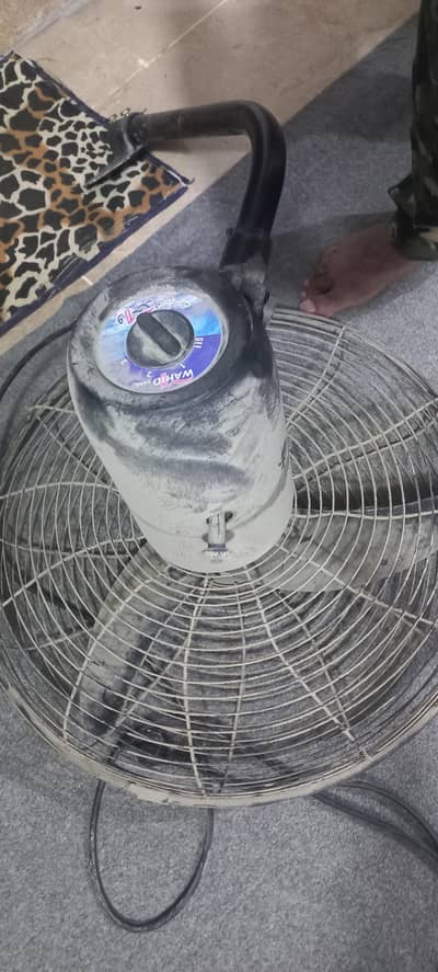 Bracket fan