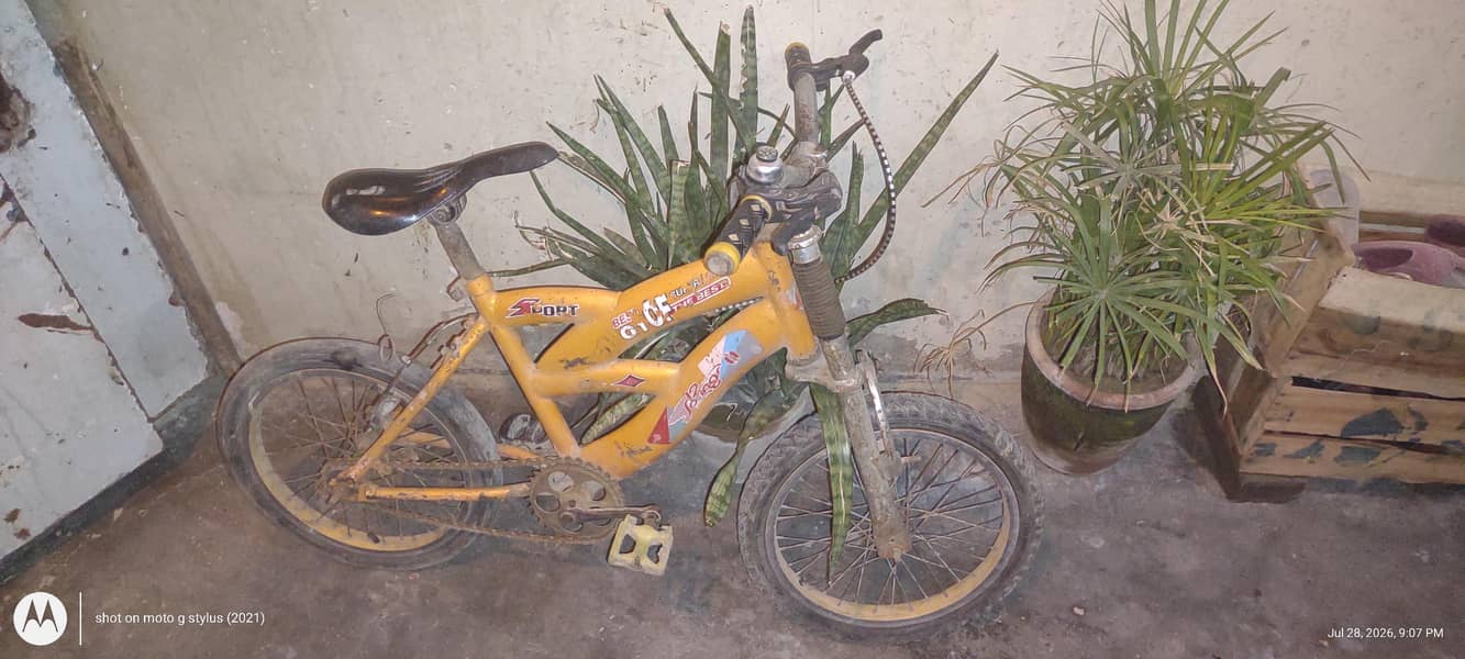 Bicycle 1