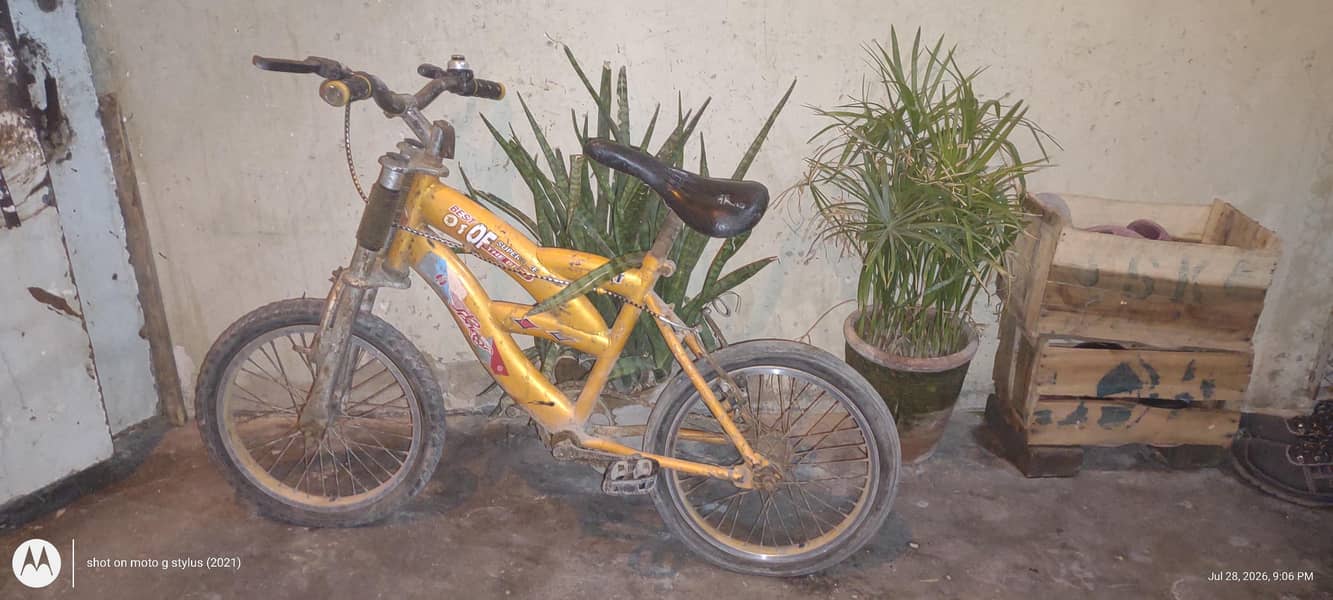 Bicycle 2