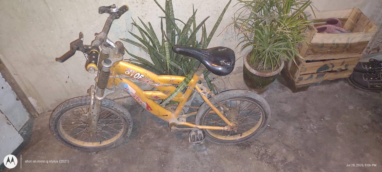 Bicycle 3