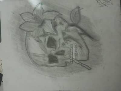 sketches