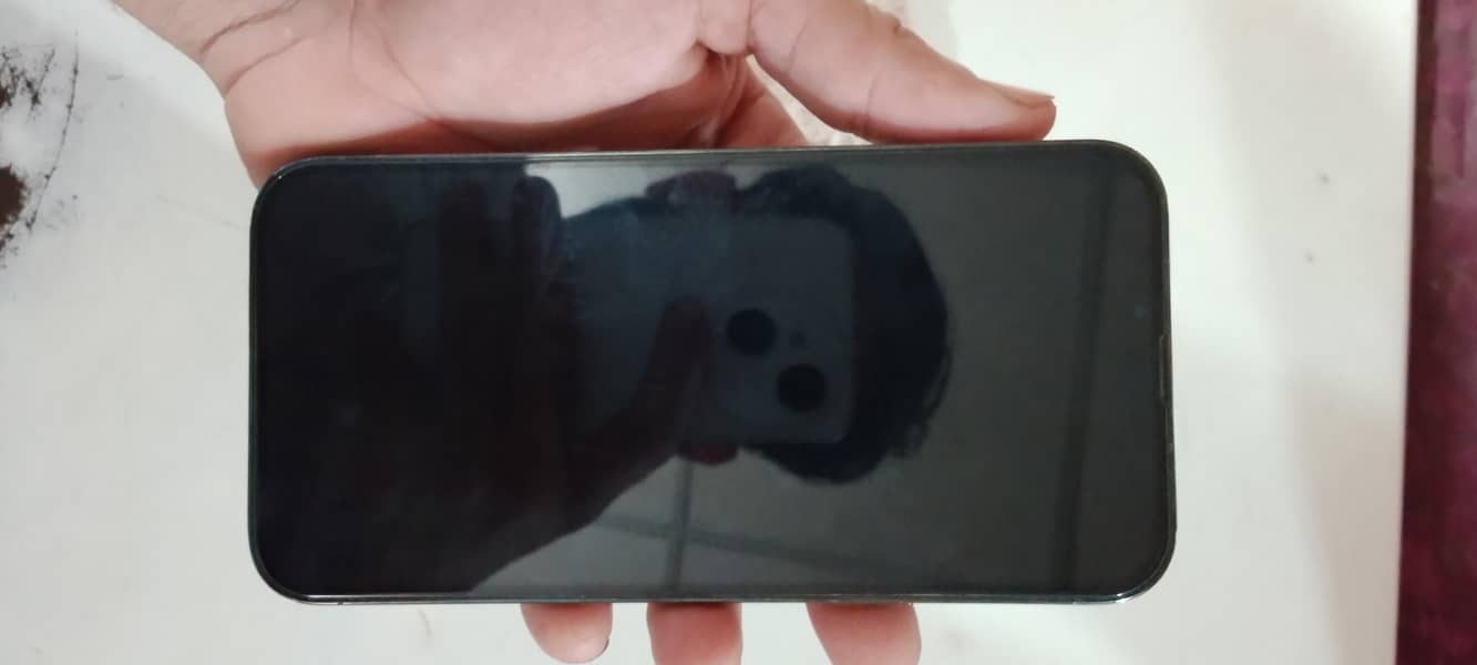Apple iPhone 13 Pro Max 1