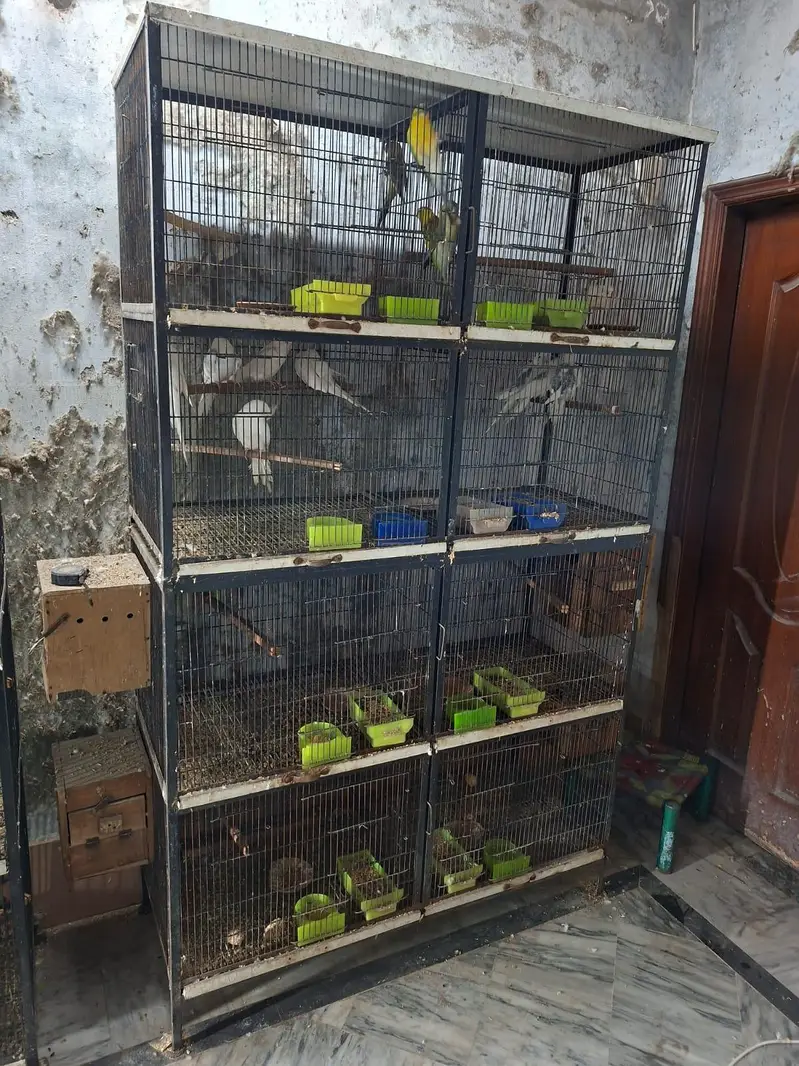 Spot Welding Cages — photo 2