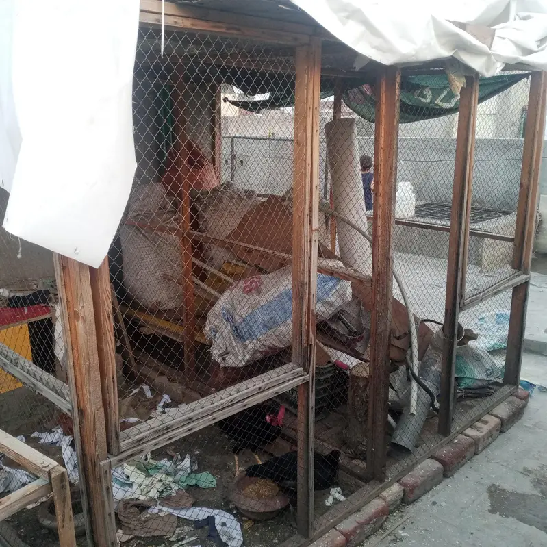 cage for hen . pigeon . — photo 3