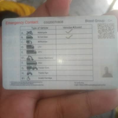 profasnal driver