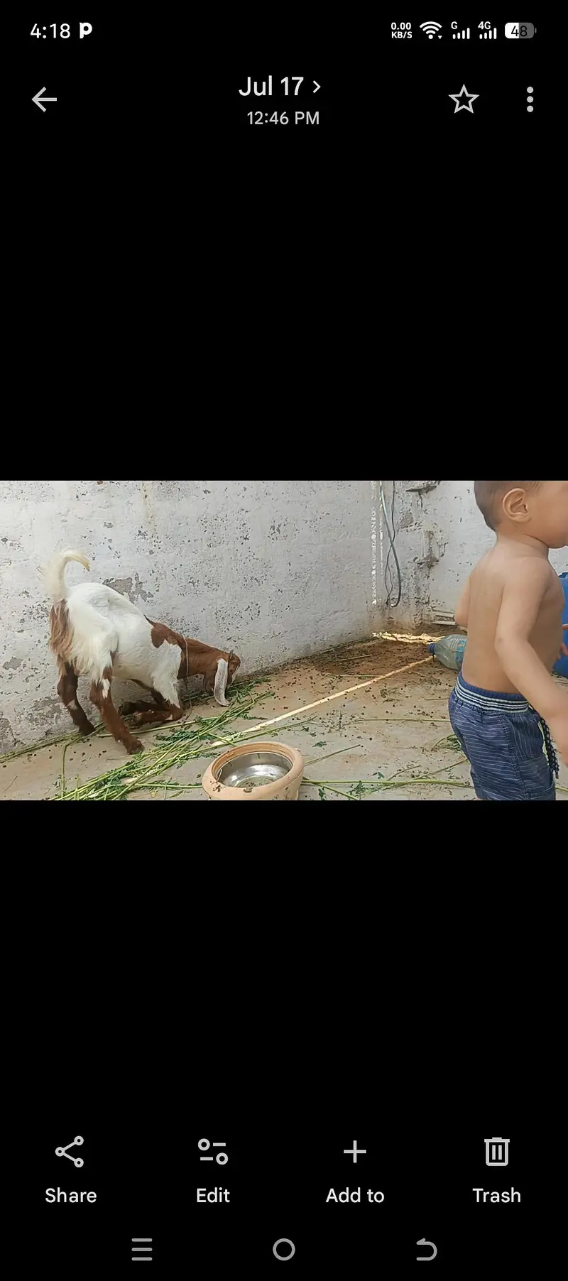 4 se 5 mahine ka Bakre Ka Badla 03152427703 — photo 3