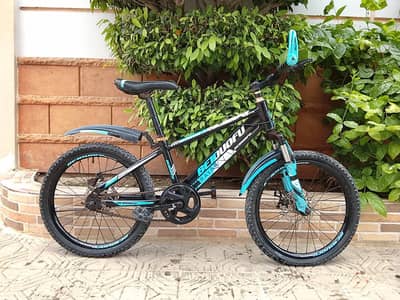 BEIDOUFU IMPORTED CYCLE - 20 SIZE - 0320/2257/271