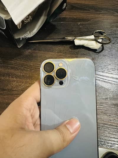Apple iPhone 13 Pro Max