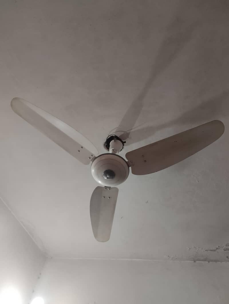 ceiling Fan 1